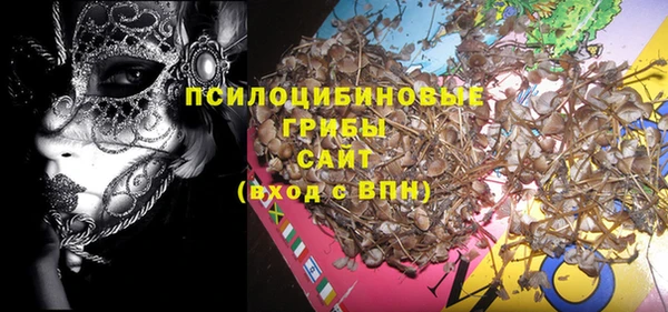 тгк Костерёво