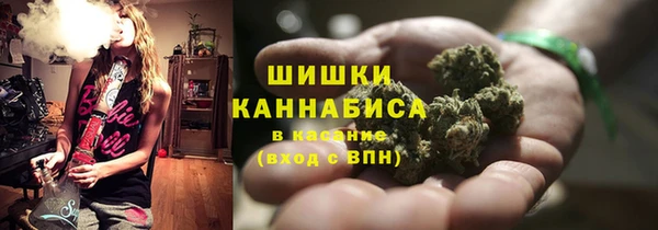 прущие крисы Бердск