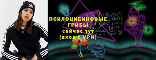 сатива Корсаков