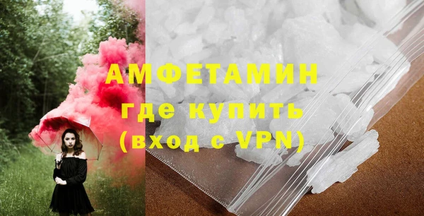 сатива Корсаков