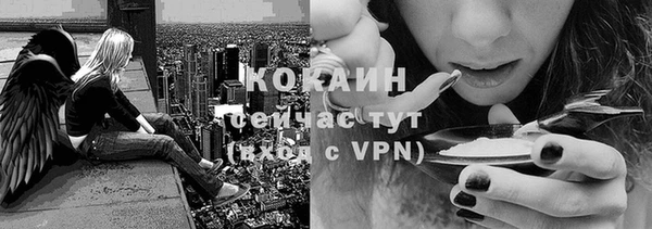 сатива Корсаков