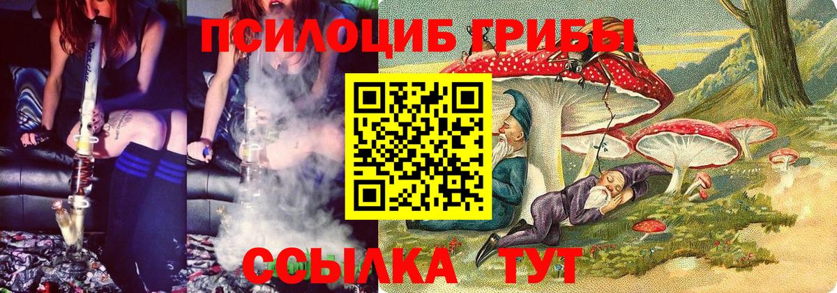 Псилоцибиновые грибы Psilocybine cubensis Советск