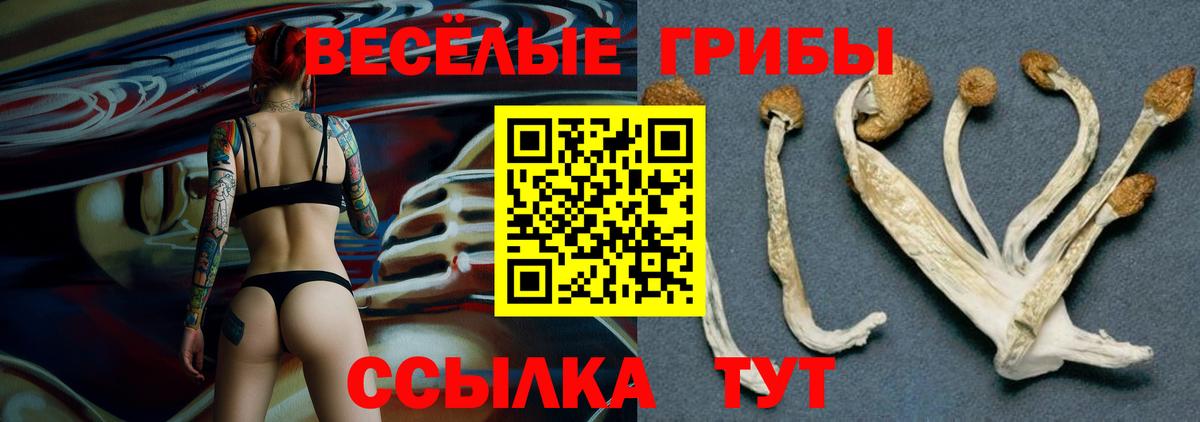 Советск  Псилоцибиновые грибы мухоморы  Вход с VPN  Псилоцибиновые грибы Magic Shrooms 